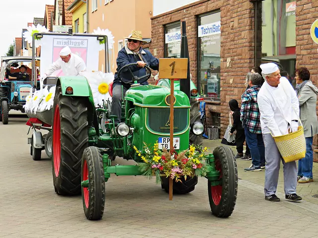 Schön geschmückte Traktoren und sonstige Fahrzeuge | Foto: Brigitte Melder