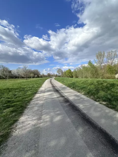 Die Ölspur ging über mehrere 100 Meter. | Foto: SGD Süd
