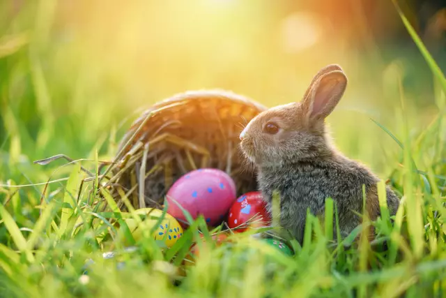 Ostern Symbolbild | Foto: Bigc Studio/stock.adobe.com