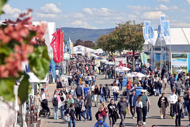 Maimarkt 2024 | Foto: Wolfgang Neuberth