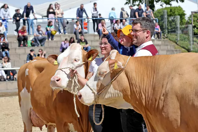 Maimarkt 2024 | Foto: Wolfgang Neuberth