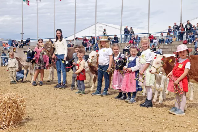 Maimarkt 2024 | Foto: Wolfgang Neuberth