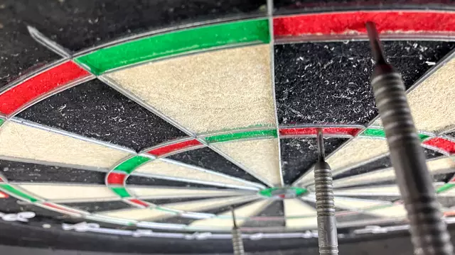 Stephen Bunting krönte sich am neunten Spieltag der Premier League Darts mit einem 107er Checkout zum Sieger des Abends | Foto: Stephanie Walter