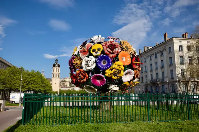 Foto: Johann-Peter Melder