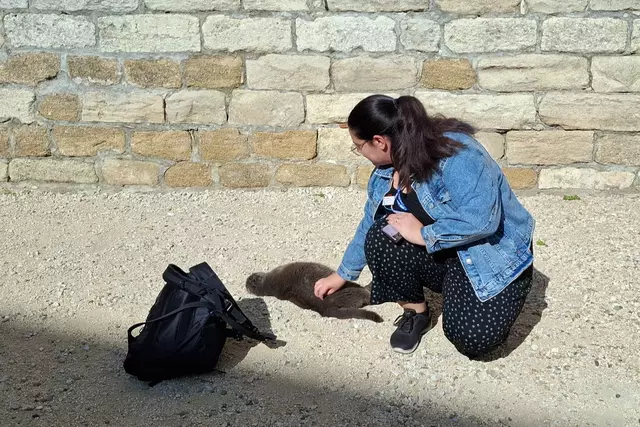 Foto: Brigitte Melder