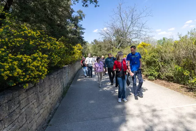 Foto: Johann-Peter Melder