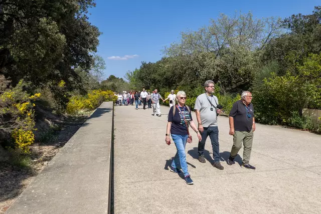 Foto: Johann-Peter Melder