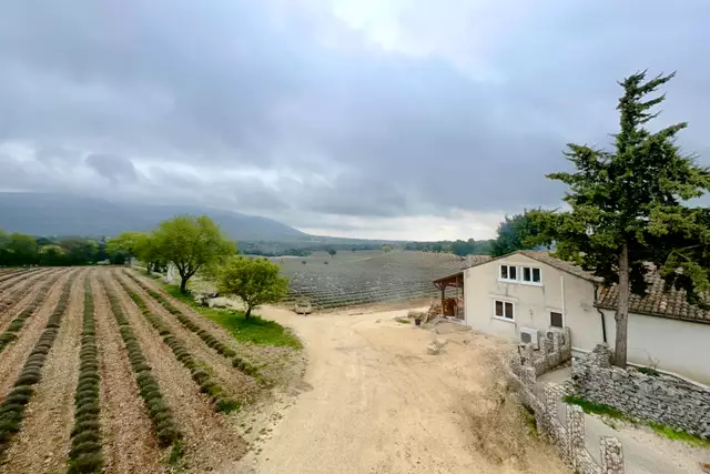 Foto: Johann-Peter Melder