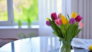 So bleiben Tulpen in der Vase lnger frisch: Diese Tricks und Hausmittel  helfen