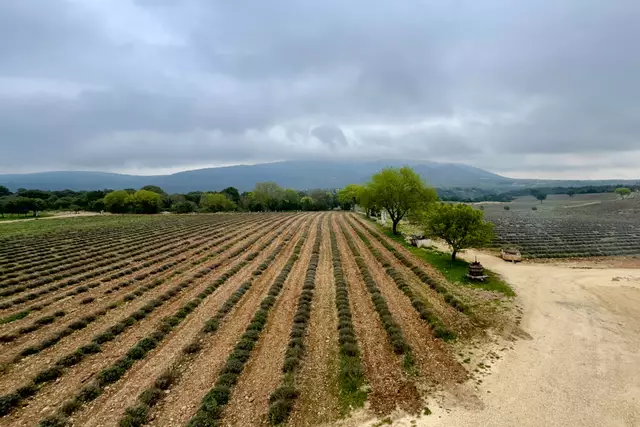 Foto: Johann-Peter Melder