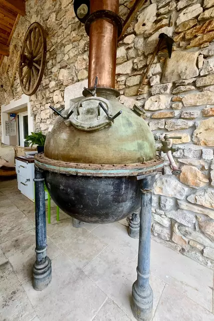 Foto: Johann-Peter Melder