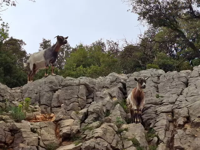 Foto: Brigitte Melder