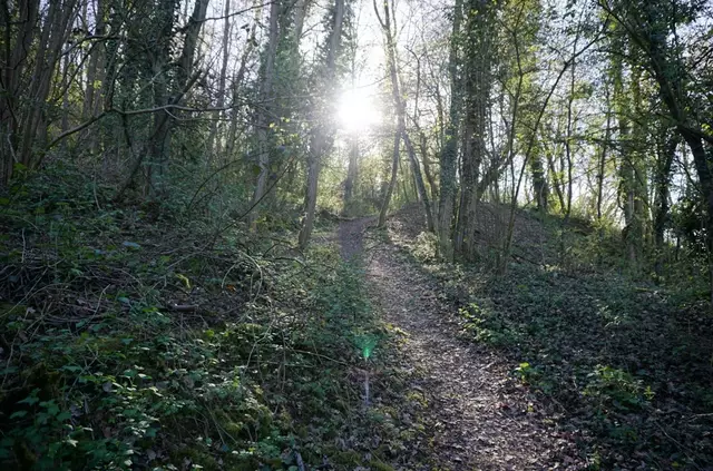 Mitmach-Museum Nahe der Natur - verschlungene Pfade- in Staudernheim  | Foto: Mitmach-Museum Nahe der Natur 
