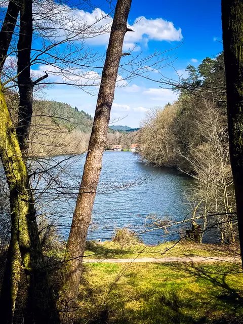 Der Jakobweg führt entlang der Waldseen beim Seehof | Foto: Cornelia Bauer