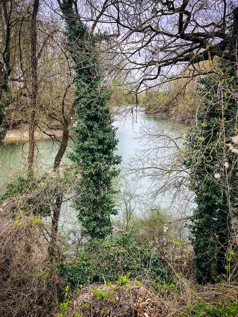 Am Altrhein | Foto: Cornelia Bauer