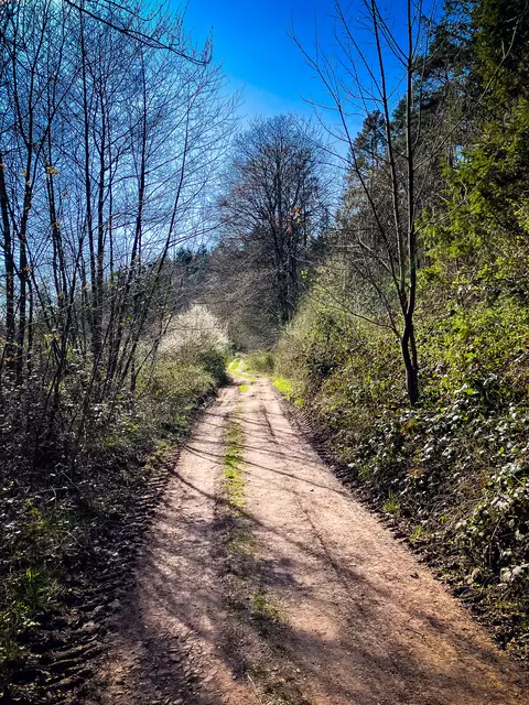 Unterwegs auf dem Pfälzer Jakobsweg | Foto: Cornelia Bauer