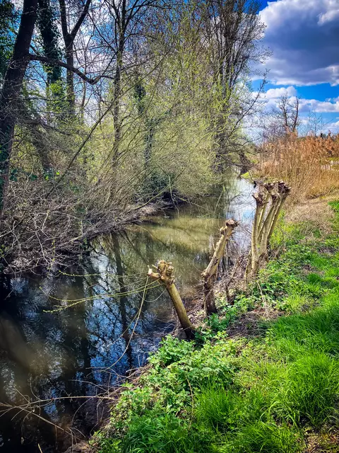 Unterwegs auf dem Pfälzer Jakobsweg bei Rülzheim | Foto: Cornelia Bauer