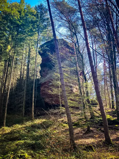 Impressionen vom Pfälzer Jakobsweg | Foto: Cornelia Bauer