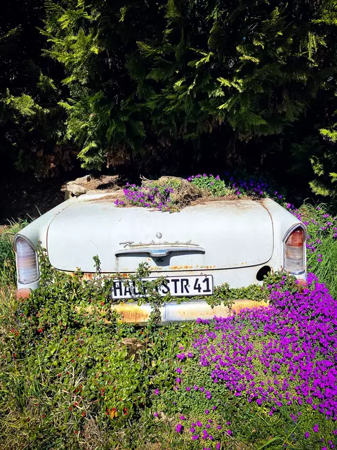 Impressionen vom Pfälzer Jakobsweg | Foto: Cornelia Bauer