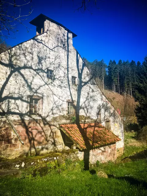 Die letzte Etappe der Südroute führt vorbei an der Hilster Mühle, einer der letzten Mühlen der Südwestpfalz, die noch gewerblich genutzt wird | Foto: Cornelia Bauer