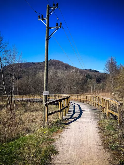 Ein Holzsteg führt durch das Naturschutzgebiet Königsbruch | Foto: Cornelia Bauer