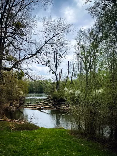Unterwegs auf dem Pfälzer Jakobsweg | Foto: Cornelia Bauer