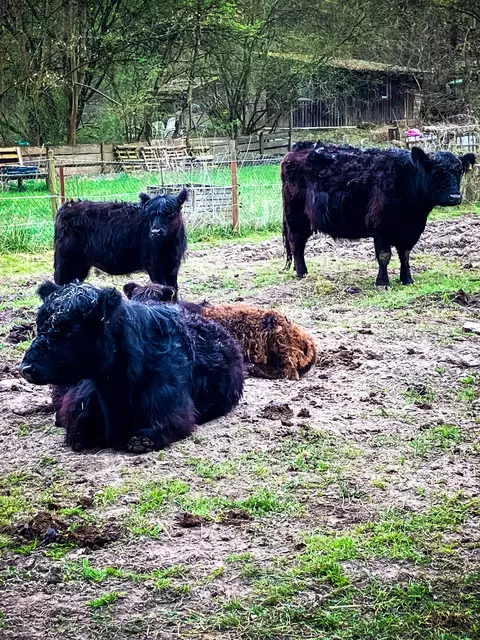 Unterwegs auf dem Pfälzer Jakobsweg | Foto: Cornelia Bauer