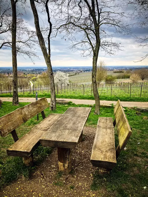 Ausblick von der Kleinen Kalmit | Foto: Cornelia Bauer