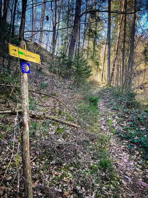 Der Eselssteig führt steil bergauf zu einem Waldparkplatz, wo sich auch die Wasserscheide zwischen Rhein und Mosel befindet | Foto: Cornelia Bauer