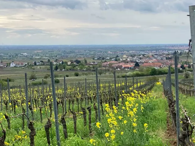 Aussicht | Foto: Ich