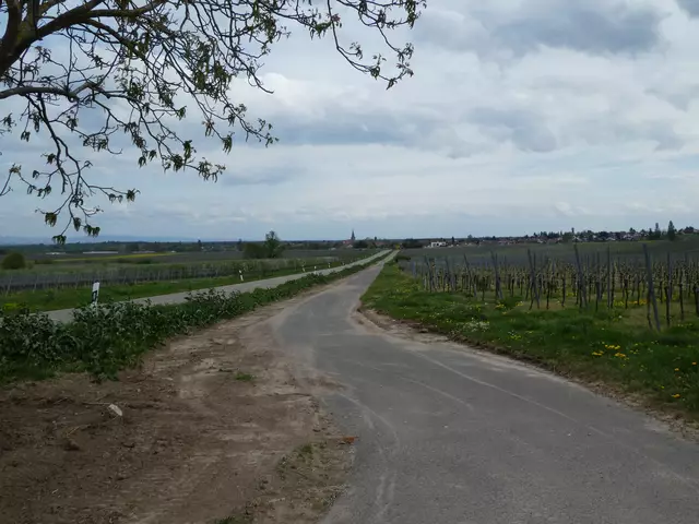 Blick auf Freinsheim | Foto: Ich