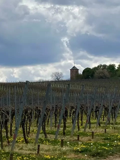 Kirche Herxheim | Foto: Ich