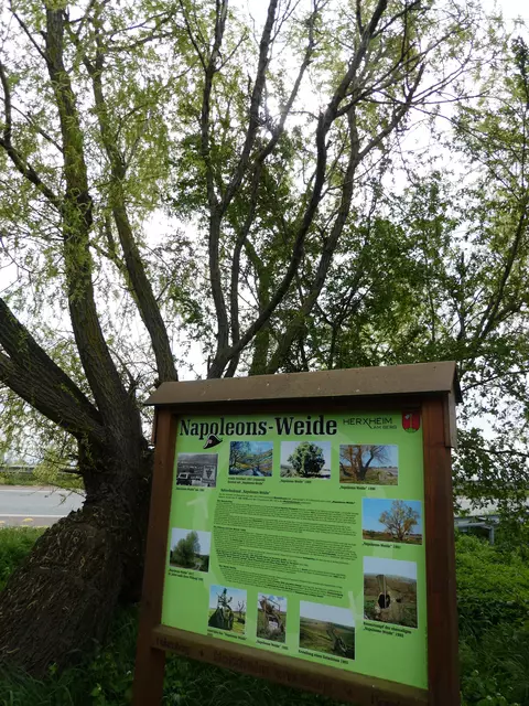 Napoleons-Weide | Foto: Ich