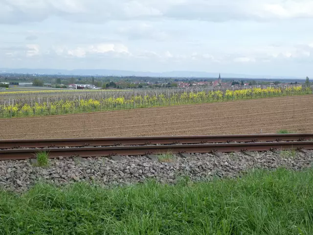 Ziel in Sicht | Foto: Ich