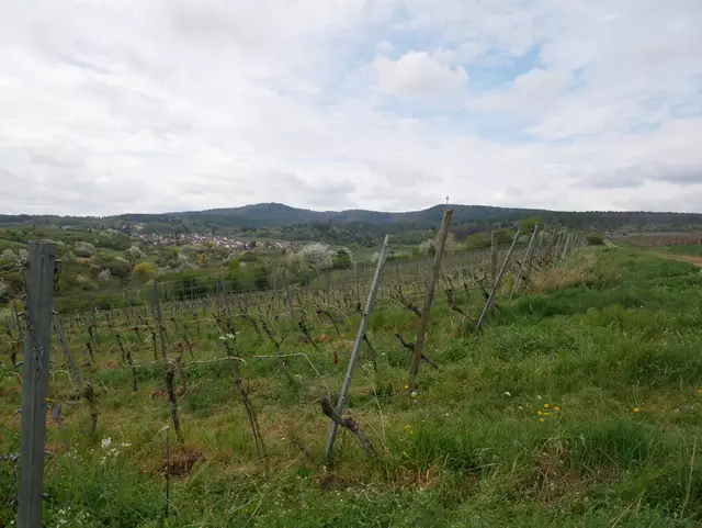 Blick ins Berntal von oben | Foto: Ich