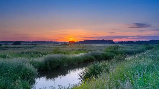Gut vernetzt und naturnah: Der Landkreis Germersheim bietet beste Voraussetzungen für nachhaltigen Tourismus. Ziel der geplanten Fördermaßnahme ist es, diese Potenziale zu bündeln und zukunftsfähig auszubauen. | Foto: Heike Schwitalla