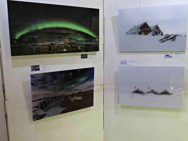 Fotografien im hinteren Bereich an der Stellwand | Foto: Brigitte Melder