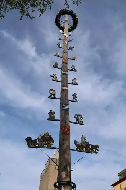 Der Maibaum auf dem Schlossplatz in Kirchheimbolanden | Foto: Martina Konz