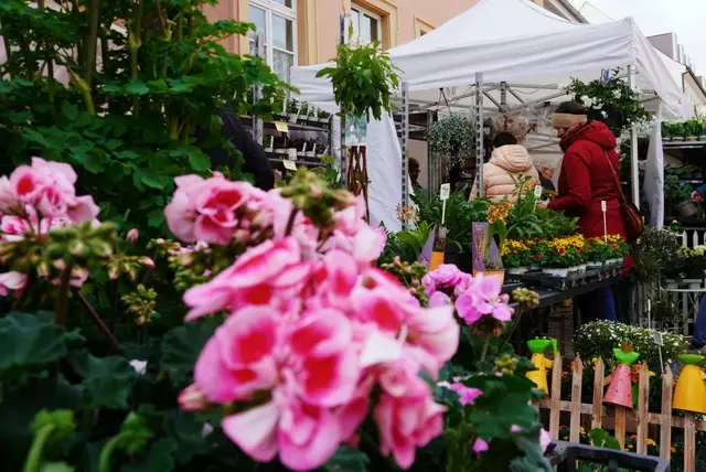 Den Frühling in Speyer erleben - beim Garten- und Pflanzenmarkt in der Innenstadt | Foto: Stadt Speyer