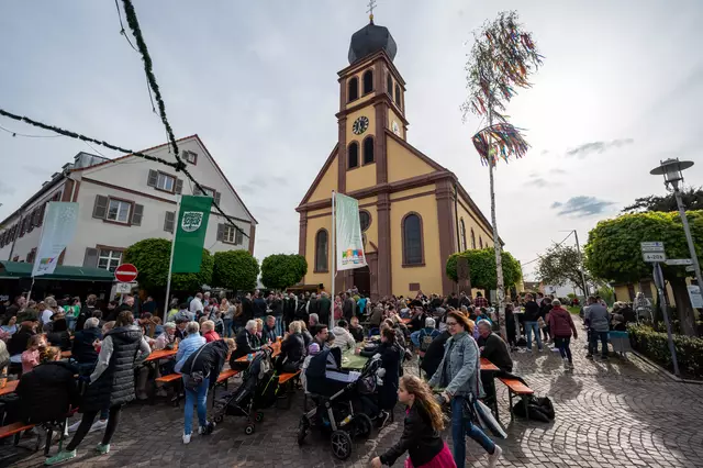 Maibaumstellen in Hagenbach | Foto: Stadt Hagenbach