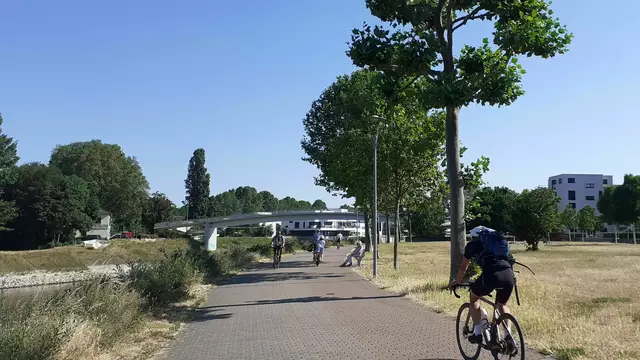 Rheinradweg führt durch Flusslandschaft   | Foto: Armin Winkler