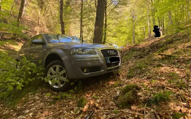 Crash in der Kurve - 5.000 Euro Schaden nach Unfall bei Breitenstein | Foto: Polizei Edenkoben