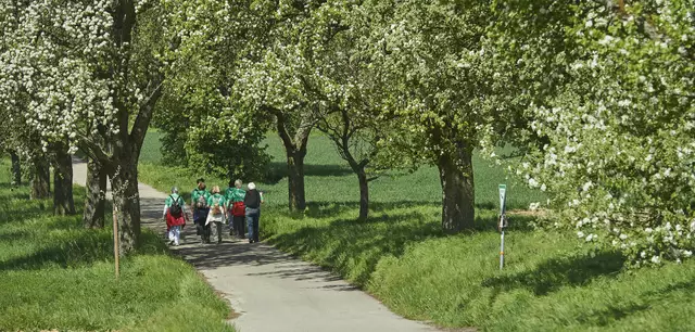 Wandern in und um Bruchsal | Foto: Martin Heintzen