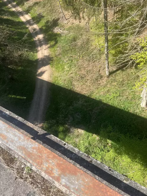 Lost Place: Stempelkopftunnel im Pfälzerwald  | Foto: Anouar Touir