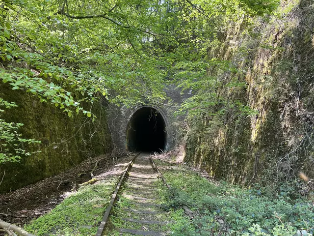 Lost Place: Stempelkopftunnel im Pfälzerwald  | Foto: Anouar Touir