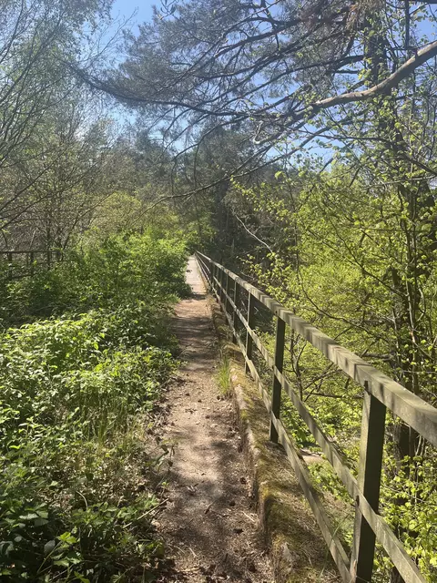 Lost Place: Stempelkopftunnel im Pfälzerwald  | Foto: Anouar Touir
