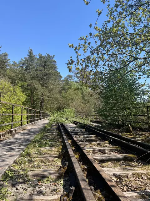 Lost Place: Stempelkopftunnel im Pfälzerwald  | Foto: Anouar Touir