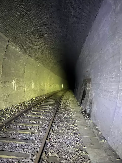 Lost Place: Stempelkopftunnel im Pfälzerwald  | Foto: Anouar Touir