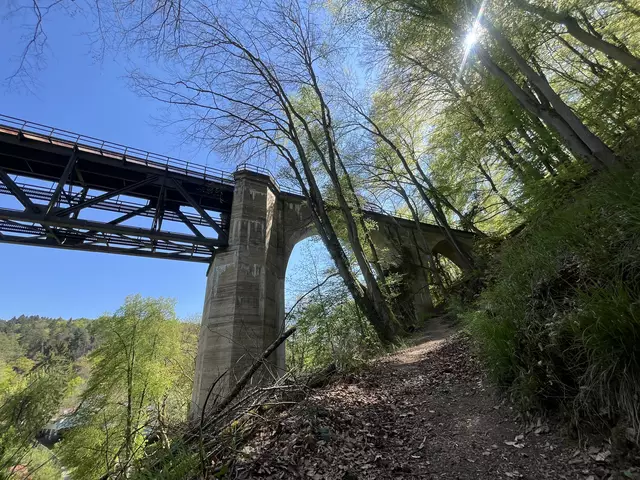 Lost Place: Stempelkopftunnel im Pfälzerwald  | Foto: Anouar Touir