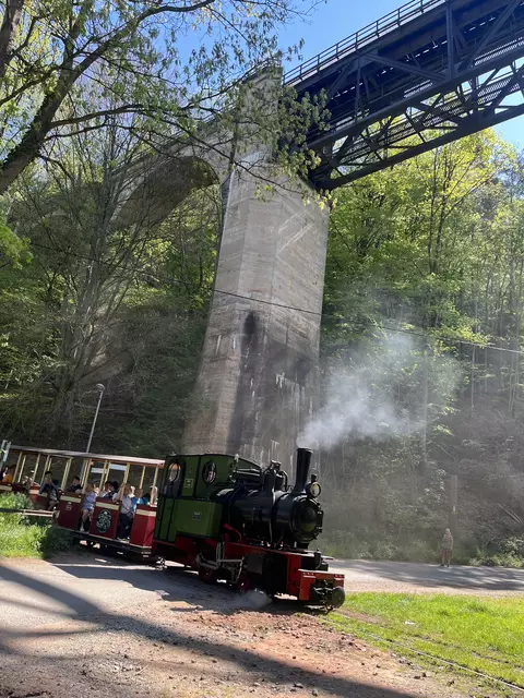 Lost Place: Stempelkopftunnel im Pfälzerwald  | Foto: Anouar Touir